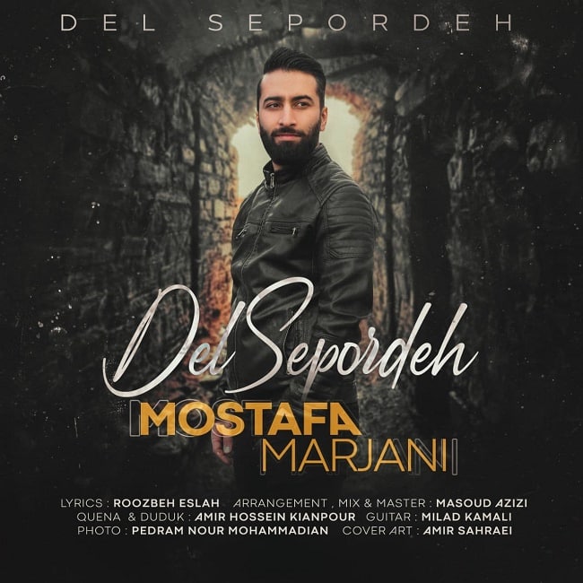 دانلود آهنگ دل سپرده دانلود آهنگ دل سپرده